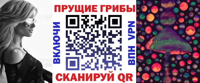 Псилоцибиновые грибы мицелий  Купить закладки  Сертолово 